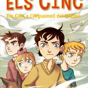 Els cinc a l´aiguamoll del misteri