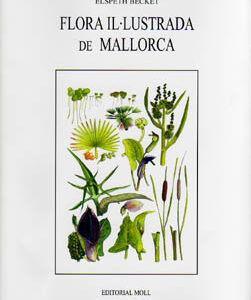 OBRES COMPLETES VOL.2 PERE CAPELLA