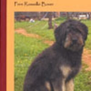 LES AVENTURES D'EN TRES I MIG