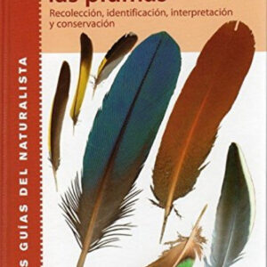 RECONOCER FACILMENTE LAS PLUMAS