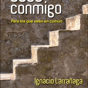 Sube Conmigo Bolsillo