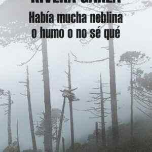 Había mucha neblina o humo o no sé qué