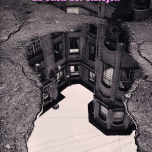 LA CASA DEL CALLEJÓN