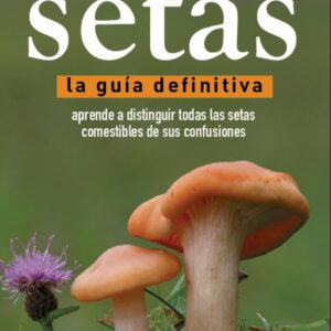 Setas, guía definitiva