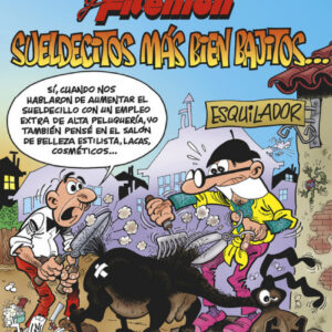 SUELDECITOS MÁS BIEN BAJITOS