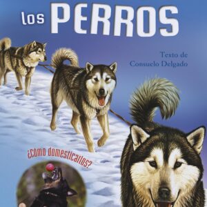 Nuestro amigos los perros