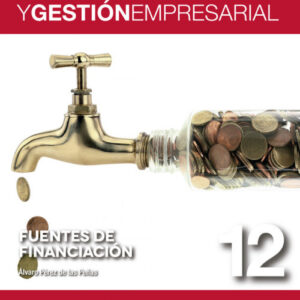 Emprendimiento gestión empresarial. Fuentes de financiación