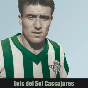 Luis del Sol Cascajares