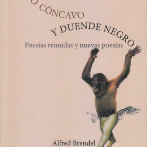 ESPEJO CÓNCAVO Y DUENDE NEGRO