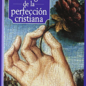 Teología de la perfección cristiana
