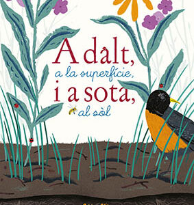 ADALT A LA SUPERFÍCIE I A SOTA AL SOL