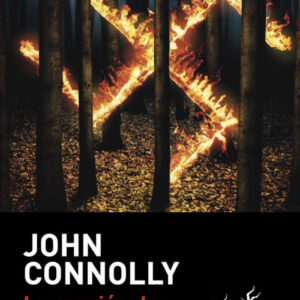 LA CANCIÓN DE LAS SOMBRAS