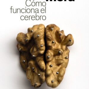 Cómo funciona el cerebro