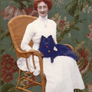 Arquitectura del sueño