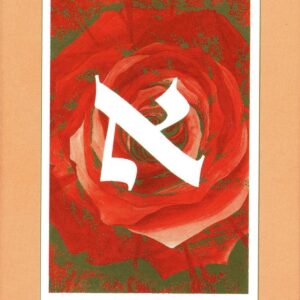 EL TAROT DE LAS LETRAS HEBRAICAS: ALEPH