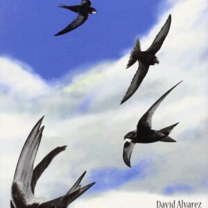 LOS VENCEJOS SUEÑAN DESPIERTOS