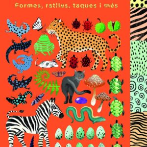 BUSCA I TROBA FORMES, RATLLES, TAQUES I MÉS