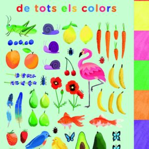 BUSCA I TROBA DE TOTS ELS COLORS