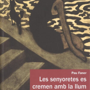 SENYORETES ES CREMEN AMB LA LLUM