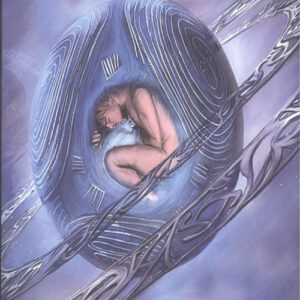 SENTIDO OCULTO DE LA VIDA