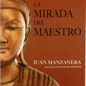 LA MIRADA DEL MAESTRO