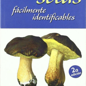 100 SETAS FÁCILMENTE IDENTIFICABLES