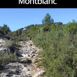 EL CAMÍ REAL DE VILAFRANCA DE MONTBLANC