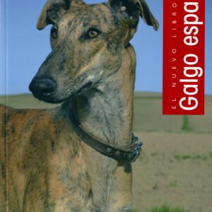 GALGO ESPAÑOL