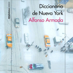 DICCIONARIO DE NUEVA YORK