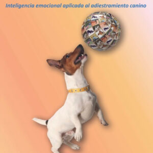 Adiestramiento silencioso