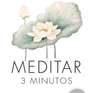 MEDITAR 3 MINUTOS