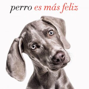 LA VIDA CON UN PERRO ES MÁS FELIZ