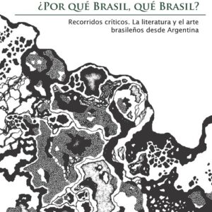 ¿Por qué Brasil, qué Brasil? Recorridos cr¡ticos
