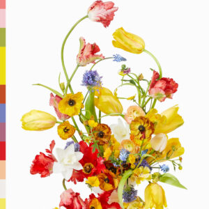 ESP Flores: La teoría del color