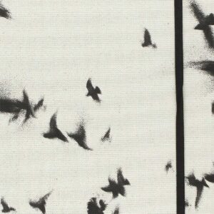 EL RECTÁNGULO EN LA MANO