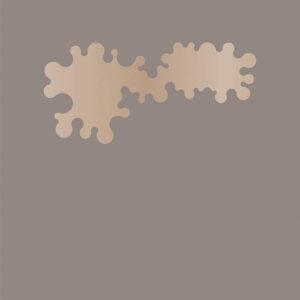 GUILLERMO HEVIA GARCÍA