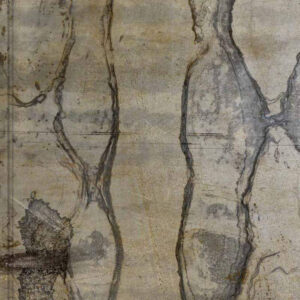 Elías rizo arquitectos