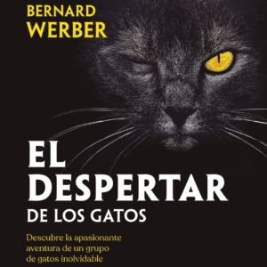 El despertar de los gatos