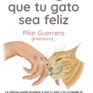 Cómo lograr que tu gato sea feliz