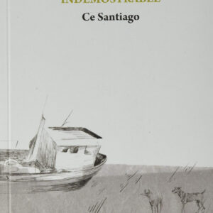 El mar indemostrable