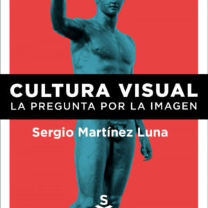 Cultura visual