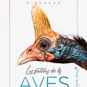 LOS SENTIDOS DE LA AVES