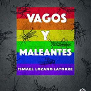 Vagos y maleantes