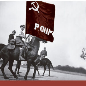 La novela número 13