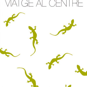 Viatge al centre