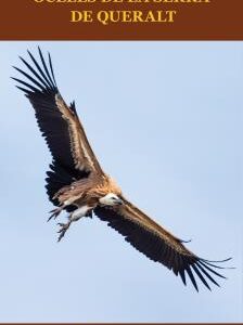 Ocells de la serra de Queralt