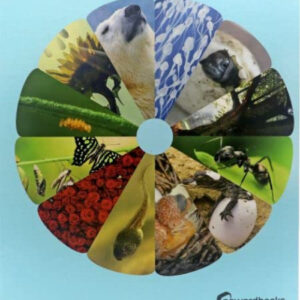 Los ciclos de la vida