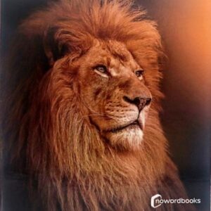 Animales de la sabana