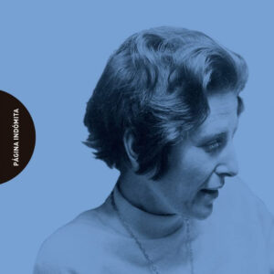 Los vicios ordinarios