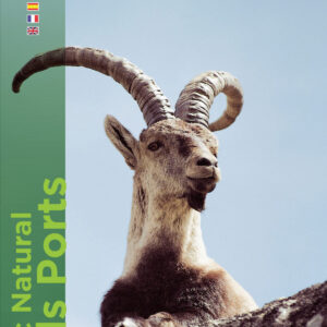 PORT 1:25.000, EL (N.E)